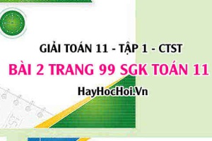 Giải bài 2 trang 99 Toán 11 tập 1 SGK Chân trời sáng tạo